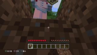［マインクラフト］番外編、ふたりえっち