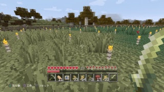 マインクラフト 第23回