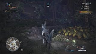 モンスターハンター:ワールド 依頼:古代樹の異変調査 ガンランス