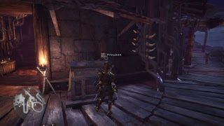 【モンスターハンターワールド（テレサ）少しだけエンシェント＊初心者様歓迎＊ 】月物語 ＃19