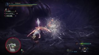 モンスターハンター：ワールド_20190212003302