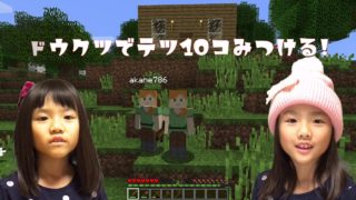 [ふたごクラフト]第2話 鉄鉱石を探しにいくよ。[マインクラフト]