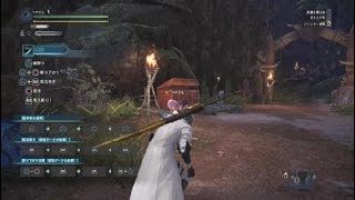 モンスターハンター：ワールド_20190204045006