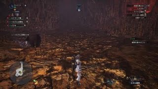 モンスターハンター：ワールド_20190131190942