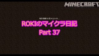 【Minecraft】誰でも出来る!?　初中級マインクラフト！　Part 37
