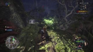 一緒に攻略　モンスターハンターワールド　エンシェントレーシェン