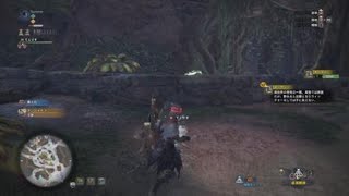 モンスターハンター：ワールド_ネッカー捕獲