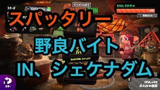 [サーモンラン野良全ステカンスト]スプラトゥーン２野良１０戦!シェケナダム