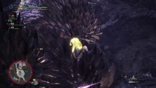 モンスターハンター：ワールド_20190217211136