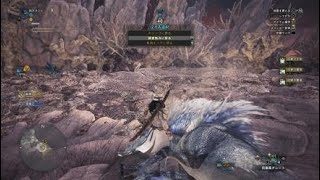 モンスターハンター：ワールド_20190202221016