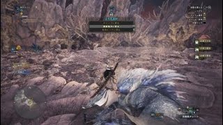 モンスターハンター：ワールド_20190202221016