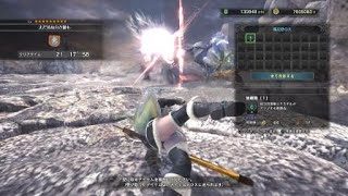 モンスターハンター：ワールド_20190203004903