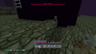 ［マインクラフト］フレンドさんのワールド！エンダードラゴンに挑む！