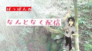 《スプラトゥーン2》ぱっぱんのゲリラ配信《2019/02/21》