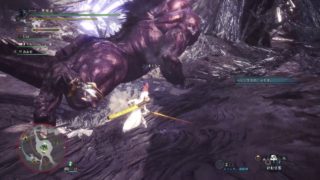 モンスターハンター：ワールド_20190211135259