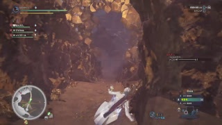 ［PS4］[モンスターハンターワールド]ウィッチャーコラボでたわむれる