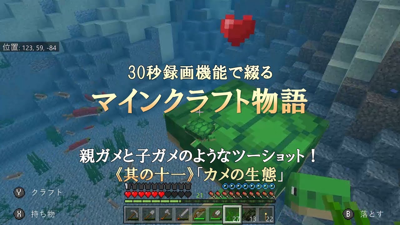 マインクラフト物語《其の十一》「カメの生態」【マイクラ統合版（Nintendo Switch）】【読む動画】