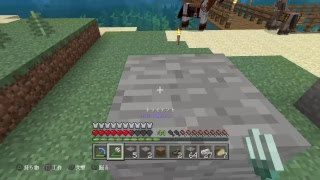 PS4  マインクラフト　　フレンド募集中