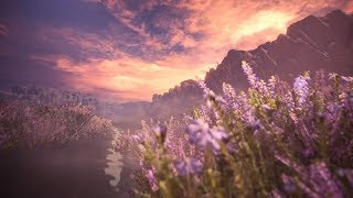 #144【MHW】狩猟解禁！おじさんがモンスターハンターワールドに挑む放送：3rd【PS4】