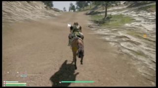 真・三國無双8やるよー♪