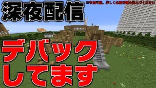 【マインクラフト】デバッグしてます【深夜配信】