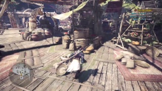 #13 初心者ぶーちゃんがモンスターハンターワールド 素材集めの旅