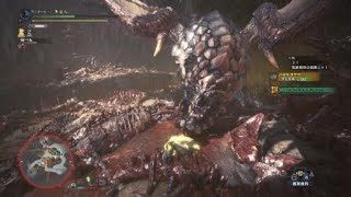 モンスターハンター：ワールド_20190331 大剣で大ダメージ狙い
