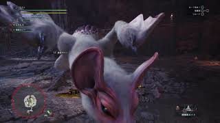 モンスターハンターワールド