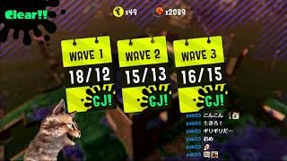 2019/3/2 スプラトゥーン２　サーモンラン　野良カンストを目指す回