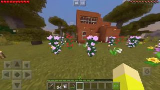 マインクラフト 動画