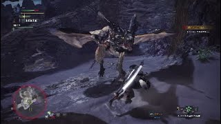 PlayStation4 モンスターハンターワールド