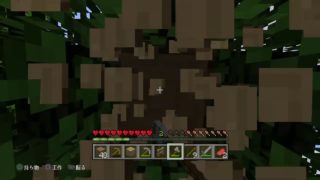 ［マインクラフト］ゆったりマインクラフト　＊参加型　＊初見さん大歓迎