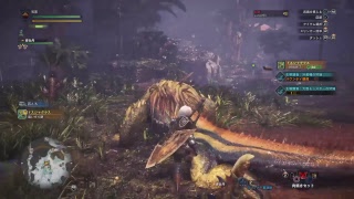 [ モンスターハンター：ワールド ] 探索：古代樹の森