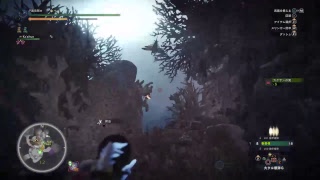 【PS4】[MH:W]並以下ふんたー暇なのでプレー垂れ流し＃07(モンスターハンターワールド)