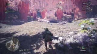 モンスターハンターワールド[MHW]初心者が(ソロで)ゆく　＃12