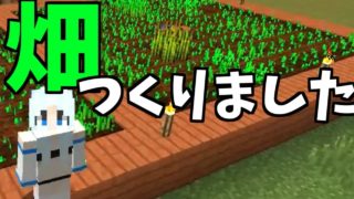 【バビクラ】Part 5 - ようやく畑を作りました！ 【マインクラフト】