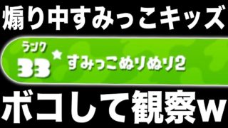 【スプラトゥーン2】すみっこ塗り塗り2という名前の新キャラな煽り中キッズ倒して煽って観察してみたwwwww