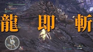 一瞬で倒せばいい火力もりもり双剣装備！モンスターハンターワールド【MHW】