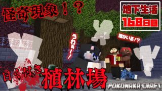 マインクラフト ┃怪奇現象！？植林場の怪人登場！地下生活168日目/ぽこなかくら#418