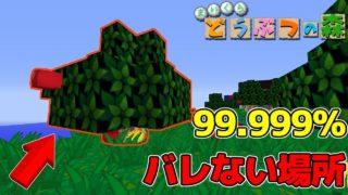 【マインクラフト】ついに99.999％バレない場所を見つけた！？どうぶつの森のマップで鬼ごっこ！！
