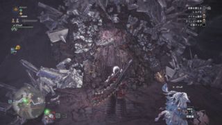モンスターハンター：ワールド　ん？