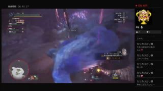 大雑把で気軽に モンスターハンターワールド