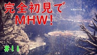 【完全初見でMHW】#11　今度のMAPは水中！？【モンスターハンターワールド】