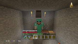 下手くそハイルのマインクラフト！！コメントに質問くれたら大体答えます！