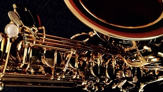 過疎配信:Fortniteに疲れたSaxプレイヤー（Noob)がマインクラフトをゆったり配信（初配信）