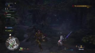 [生放送]初心者による超絶まったり調査クエ消化[モンスターハンターワールド]