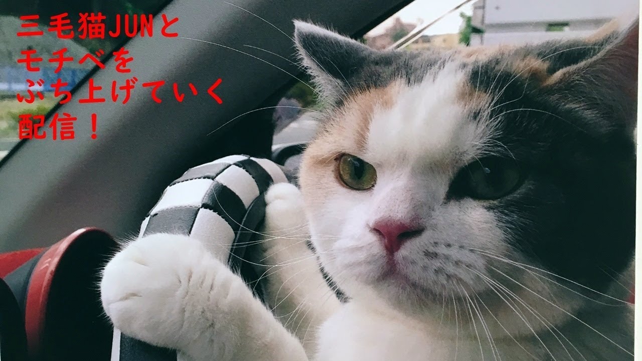 【ミケクラ】今更だけどマインクラフトJava版やっていこう！ひたすら整地かも？（雑談しながら～）