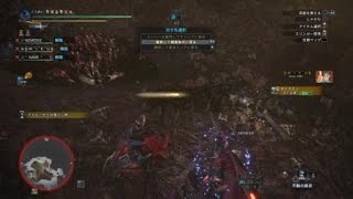 モンスターハンター：ワールド_ランスで歴戦王ハザク