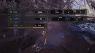 モンスターハンター：ワールド　太刀ナナ見切り最強説