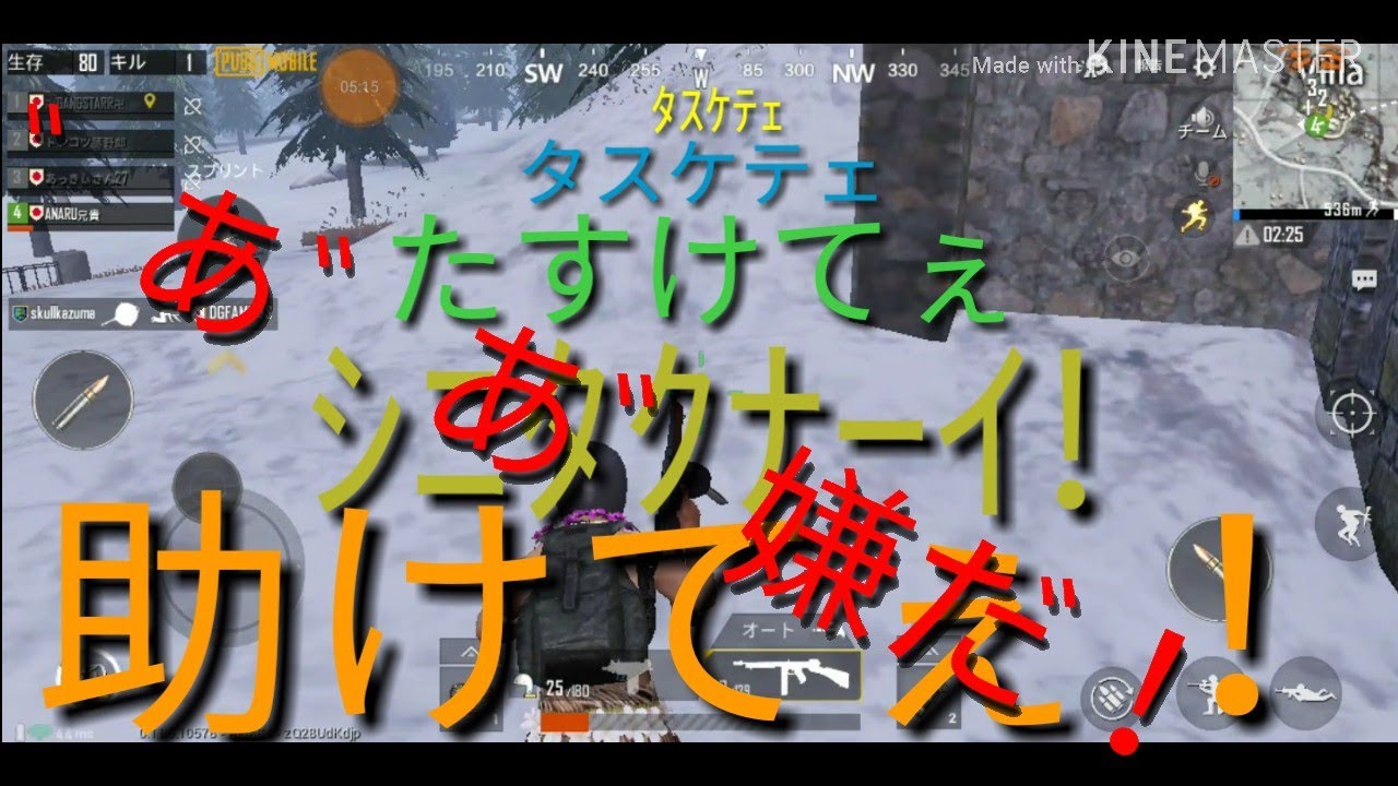 は    や    い(確信)[PUBG実況 Part12]